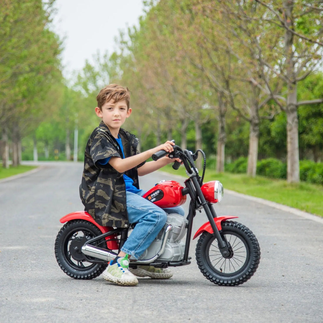 Kids Ride On Motorbike Chopper Style 36v 350w