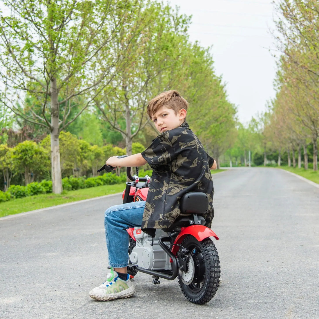 Kids Ride On Motorbike Chopper Style 36v 350w