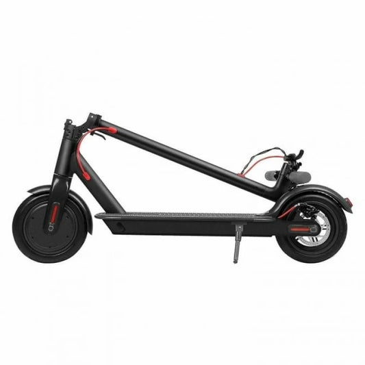 Adult Electric Scooter 350w