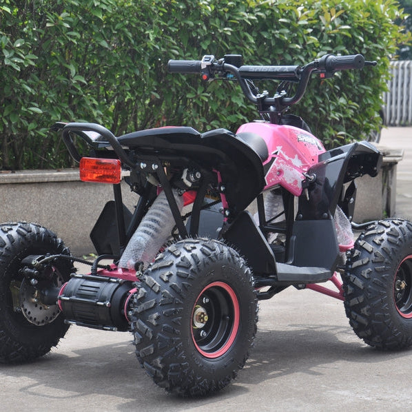 1200w 48v Saber X Brushless Kids Electric Quad Bike