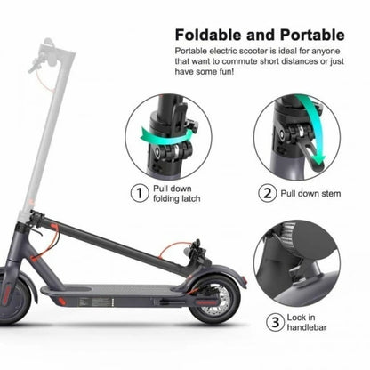Adult Electric Scooter 350w M1