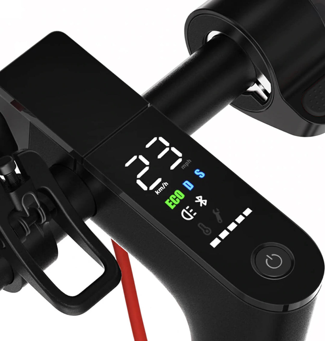Adult Electric Scooter 350w