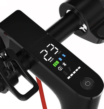 Adult Electric Scooter 350w