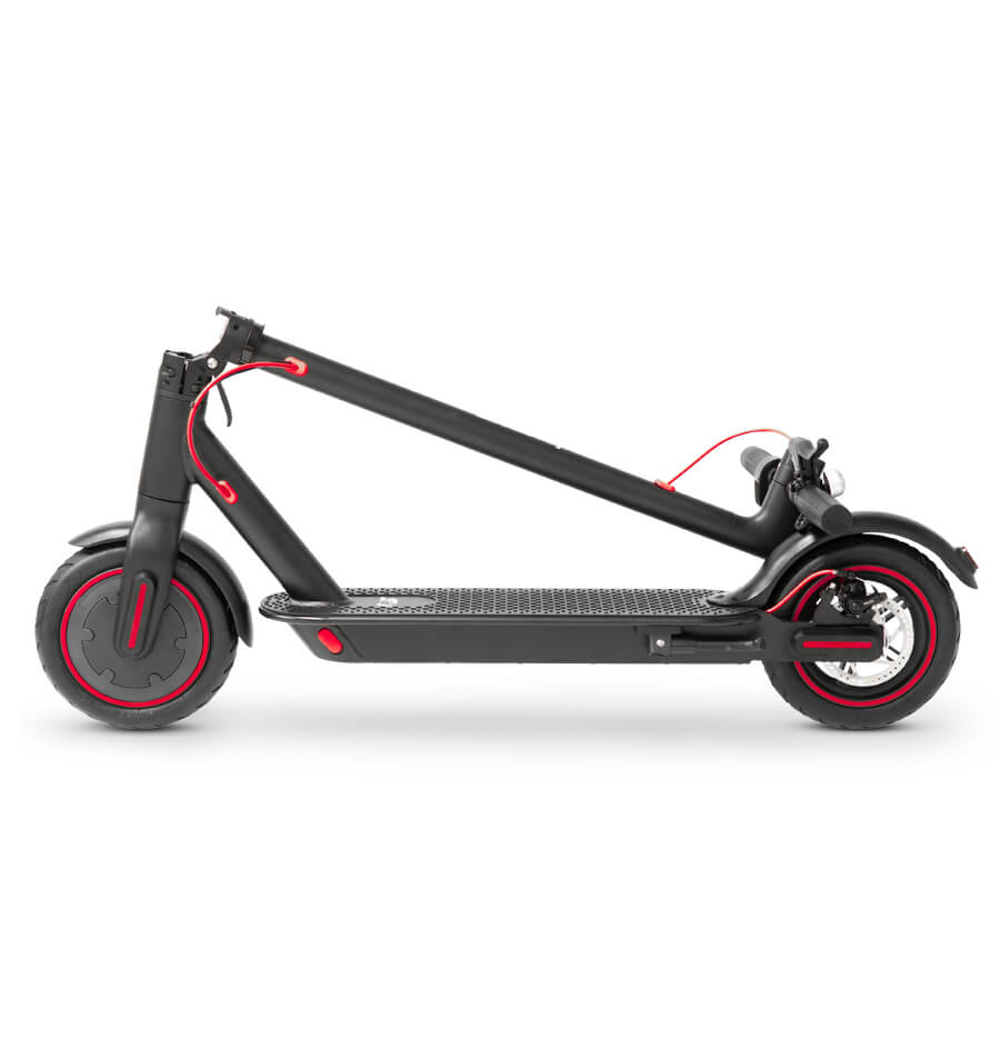 Adult Electric Scooter 350w